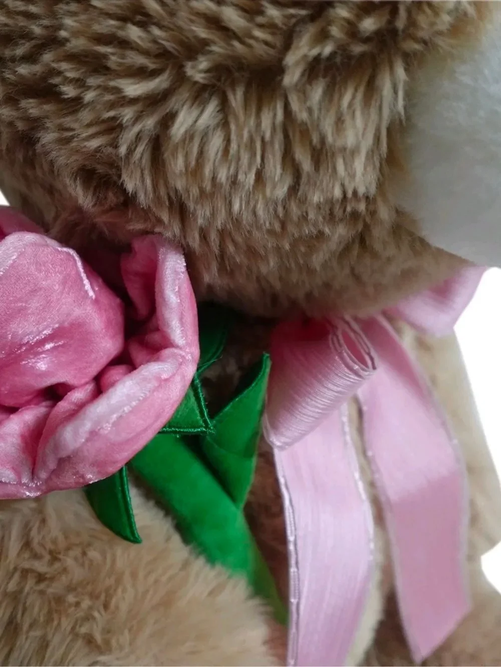 Way To Celebrate super soft